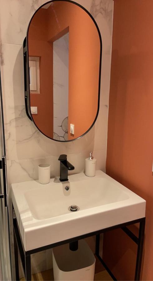 Appartamento Le 102, Maison Avec Terrasse Et Parking Gare De Rouen